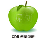 青苹果CDR格式
