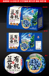 蓝莓包装礼盒源文件展开图
