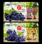 葡萄采摘园