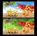 杏 采摘园