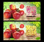 油桃 黄肉油桃