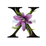 X英文字母