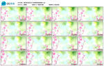 粉色桃花开大屏幕唯美视频素材
