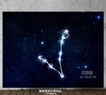 十二星座双鱼座