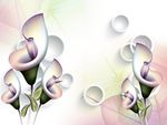 3D马蹄莲