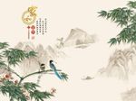家和富贵竹子