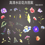 大型高清水彩花卉设计元素