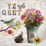 欧美花鸟装饰画