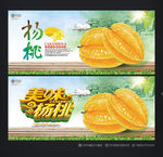 杨桃