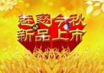 新品上市海报