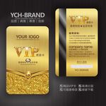 大气尊贵VIP会员卡