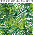 棕榈叶图案热带植物花卉