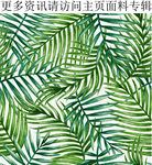 棕榈叶图案春夏植物图案热带植物