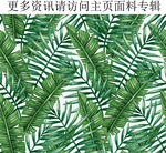 春夏植物图案 热带植物印花