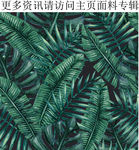 热带棕榈叶 丛林植物图案