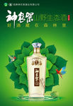 白酒海报