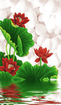 荷花3d玄关