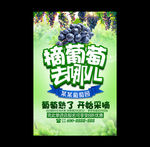 葡萄