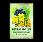 葡萄