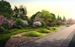 公园百花齐放景观效果图