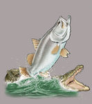 大鱼与鳄鱼背景图