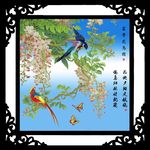 富贵花鸟