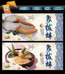 象拔蚌