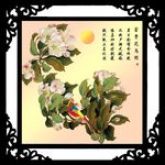 富贵花