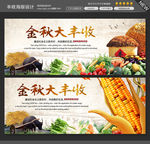 金秋丰收图片