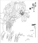 晨雾