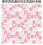 粉色花卉图案 中国风碎花