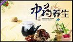 中药养生