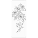 玫瑰花