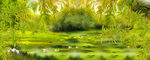 风景油画