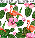 火烈鸟图案鸡蛋花热带风情图案