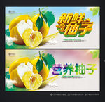 柚子