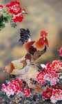 牡丹花