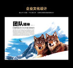 企业团队