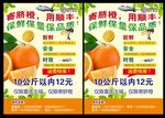脐橙折页