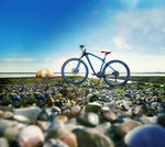 沙滩上的自行车运动海报