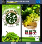 绿提子