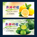 柠檬