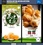 菇茑