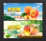水蜜桃