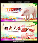 养猪