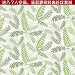 时尚花纹