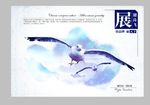 高端企业画册