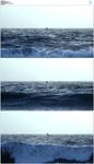 大海漂浮物