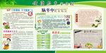 秋季健康教育宣传栏
