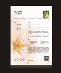 个人简历